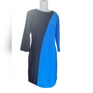 Anne Taylor dress
